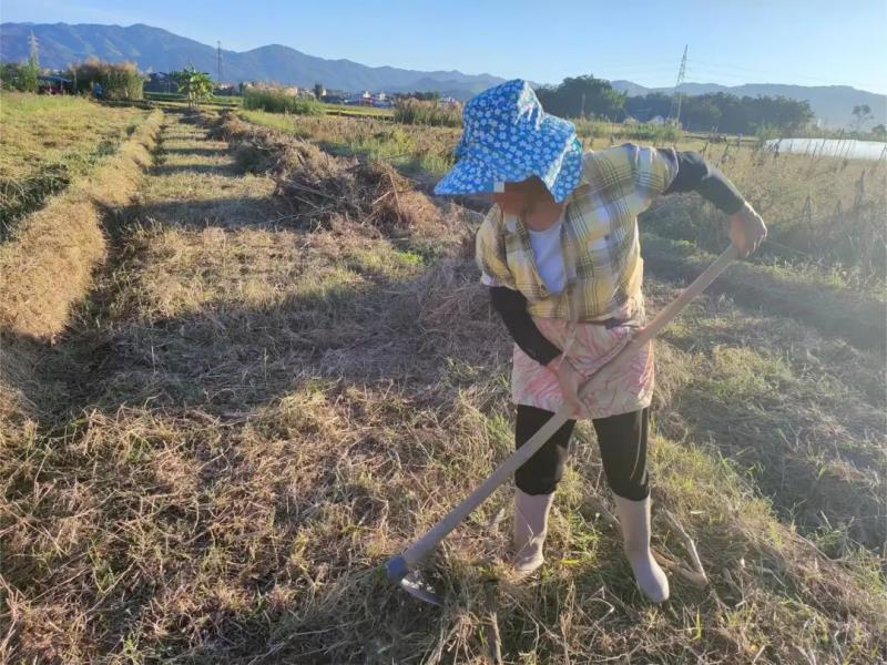 微信图片_20221104170306