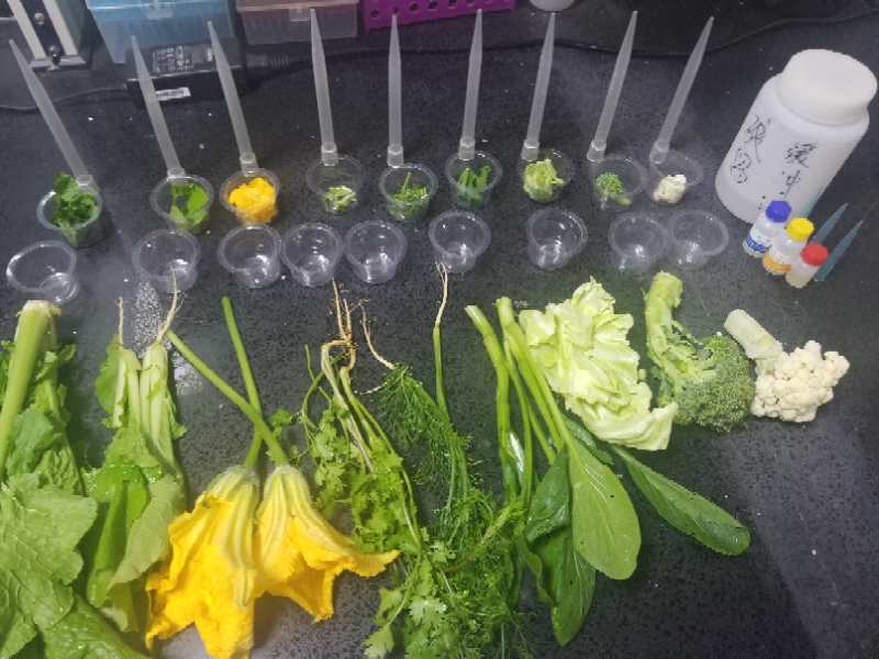 德发农残留检测