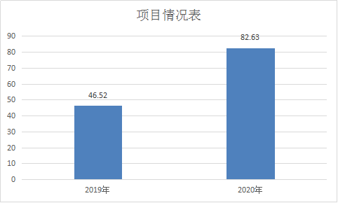 项目支出情况