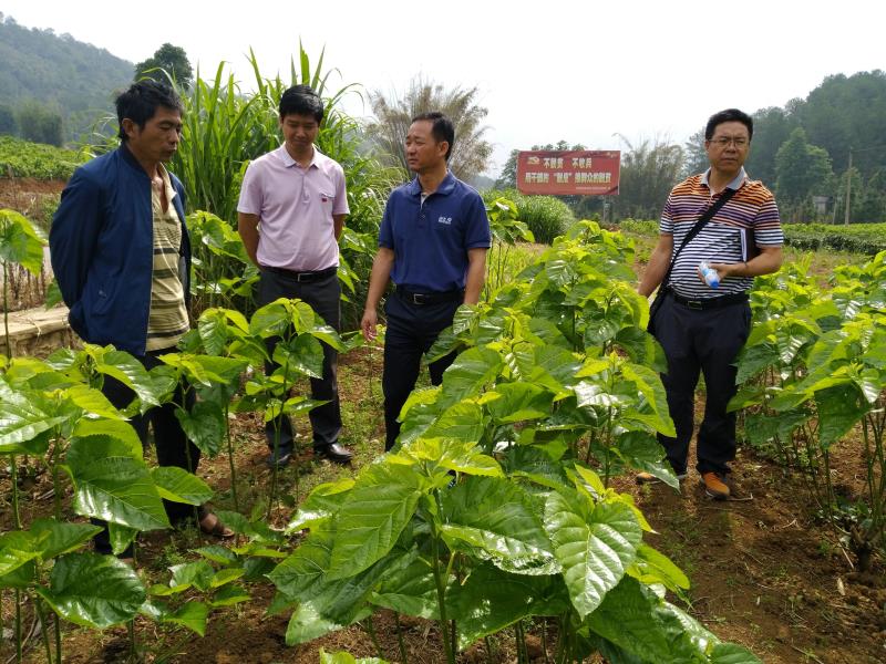 IMG_20170510_104218_看图王