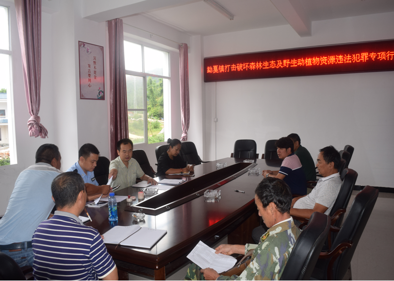 QQ截图20170808170645