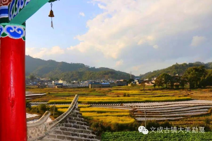 微信图片_20190615162613