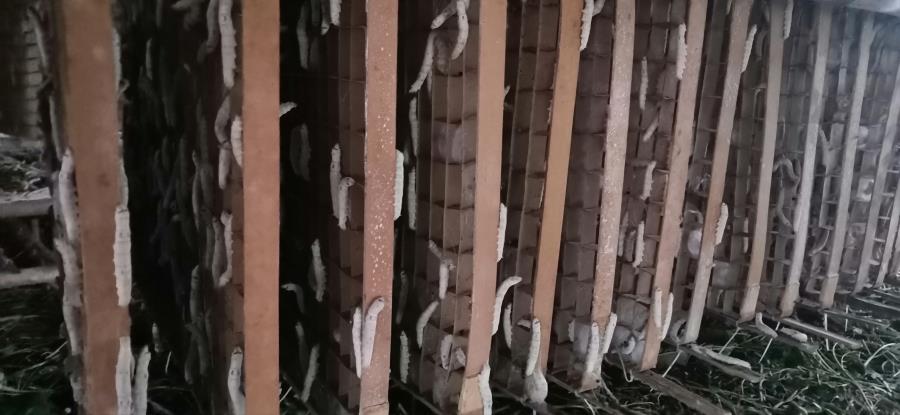 微信图片_20190813162419