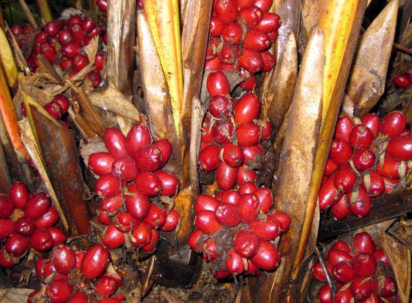 o4YBAFg__seAApA5AA1guWU8Egk88