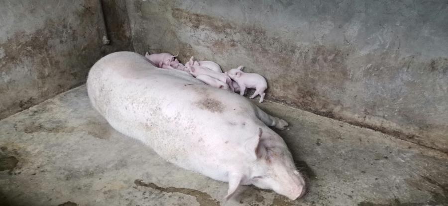 微信图片_201908131624192