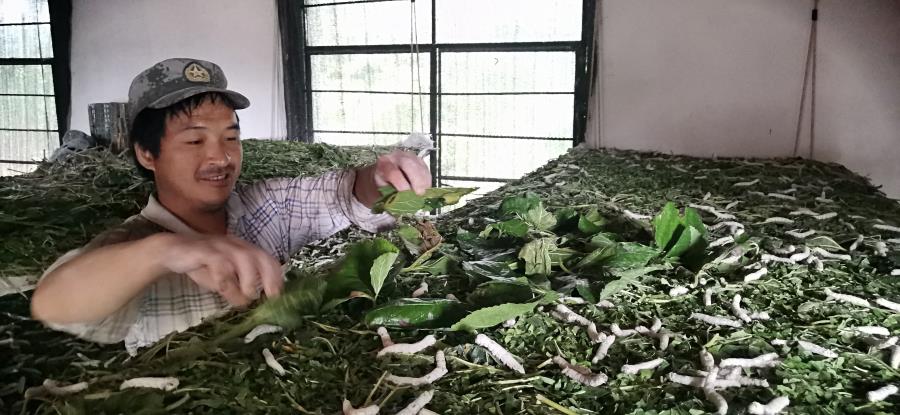 微信图片_20190813162418