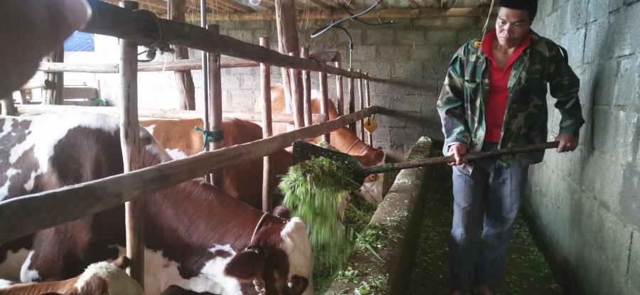 微信图片_201908131624195