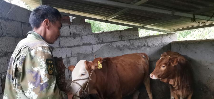 微信图片_201908131624191