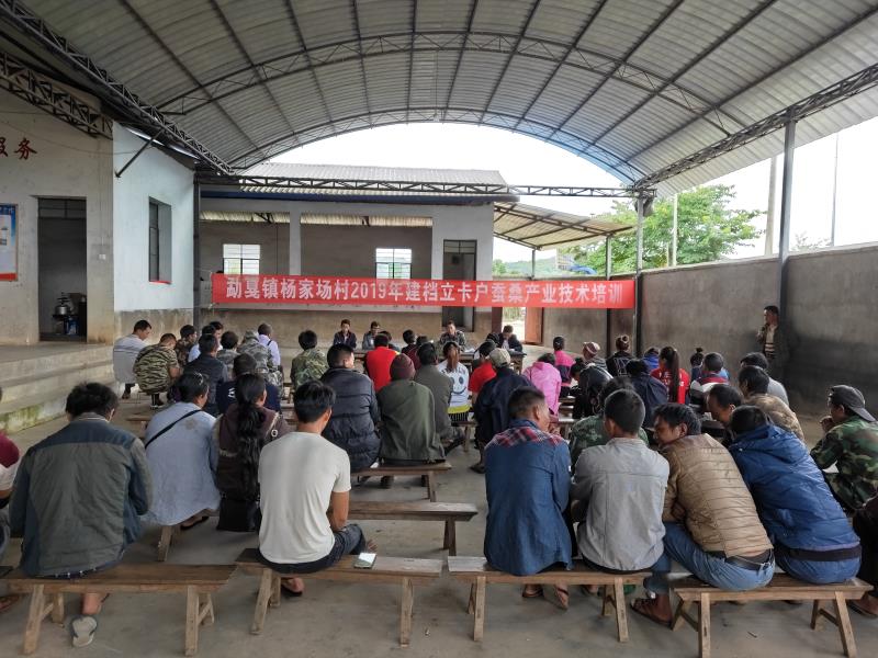 560f837bff6c14cb3b486a4512894fe