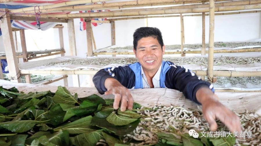 mmexport1568282101349