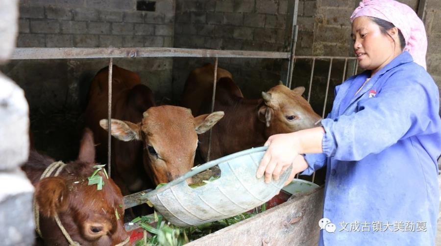 mmexport1568282098918