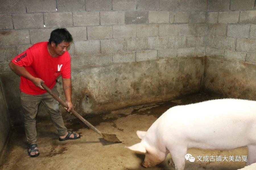 mmexport1568282105417