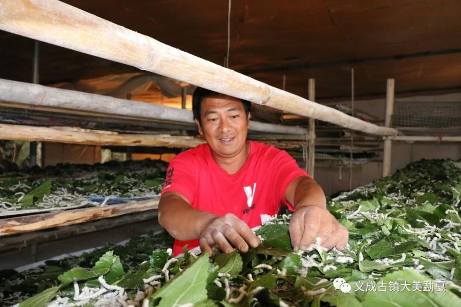 mmexport1568282109586