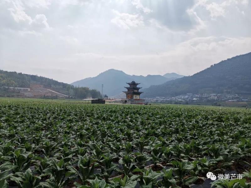 微信图片_20191210170641