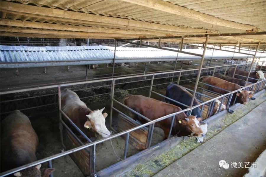 微信图片_20191210170840