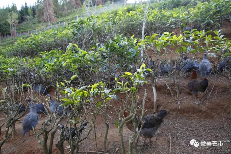 微信图片_20191210170844