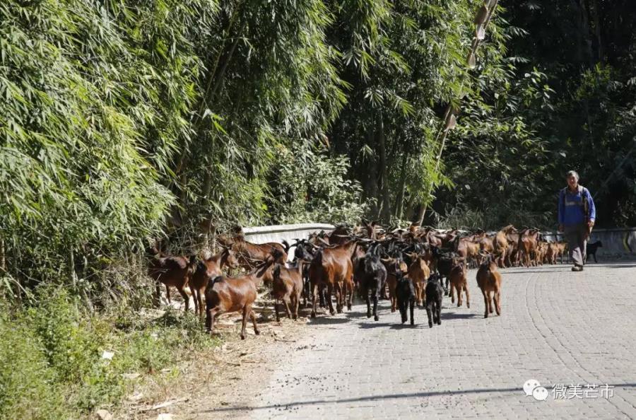 微信图片_20191210170848