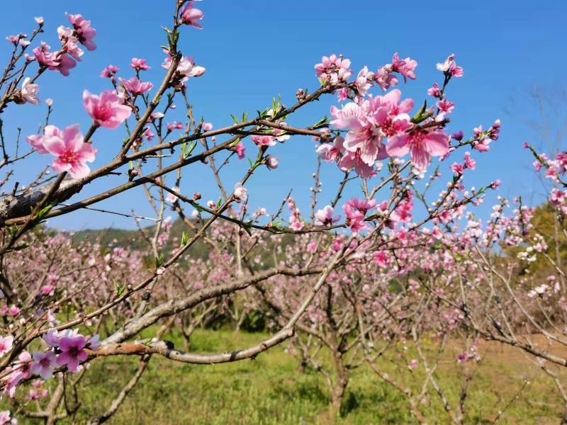 173b0fdcf9df6f0a36ad230583c6e4a