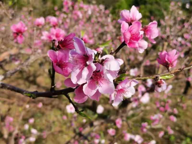 adf185e55246875eb60365aad054cbd