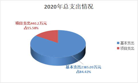 图片1支出情况说明