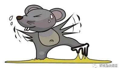 微信图片_20230928093536