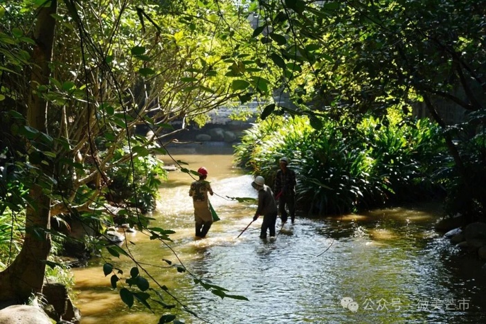 07073SY21Q2511141448280A56C802