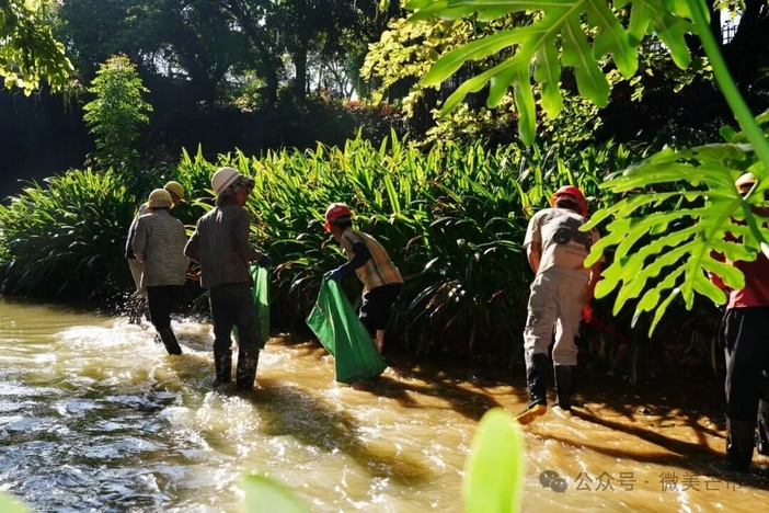 07073SY21Q25111414472421C1CFBB