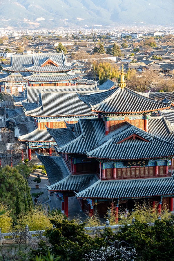 微信图片_20250527114234