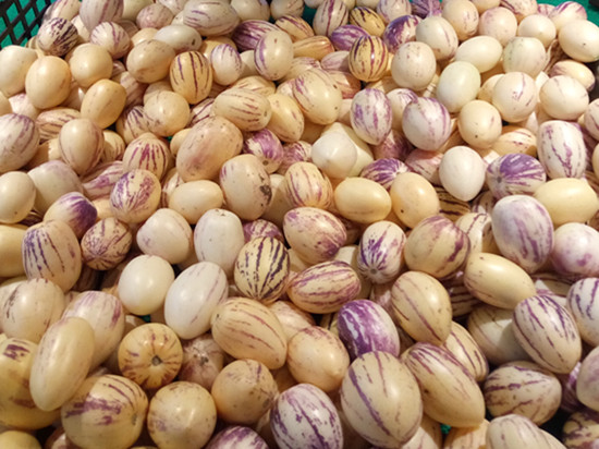 图片其版权均归原作者所有，未经许可严禁转载或建立镜像，如需转载，请与作者或本站联系