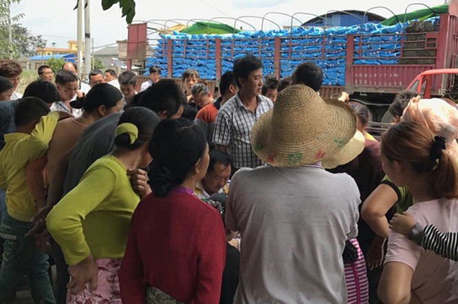 图片其版权均归原作者所有，未经许可严禁转载或建立镜像，如需转载，请与作者或本站联系