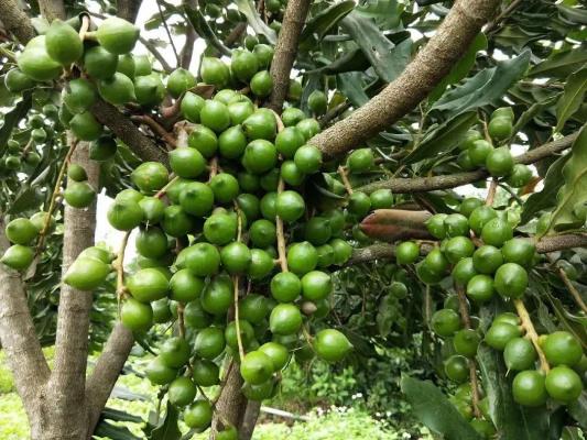 微信图片_20200813210841