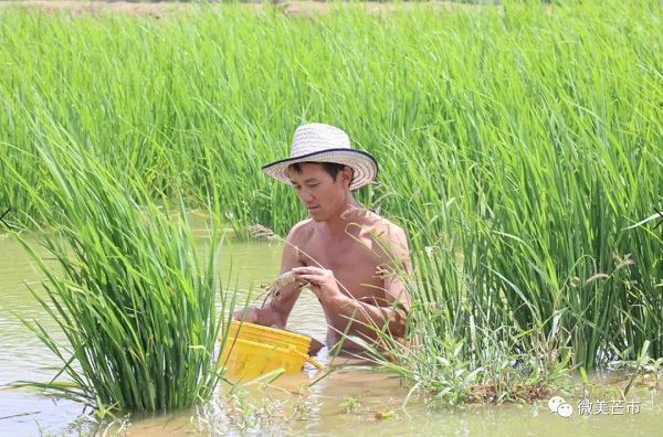 微信图片_20200814151106