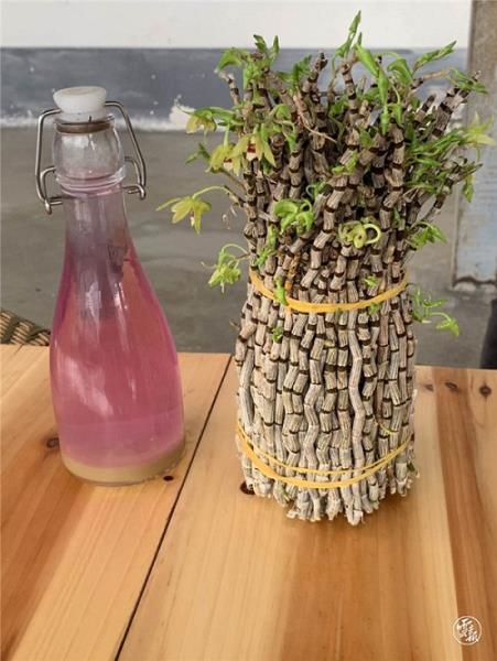 微信图片_20200814152812