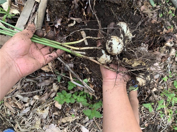 微信图片_20200814152823