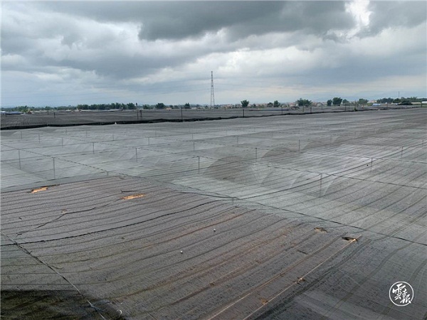 微信图片_20200814152804