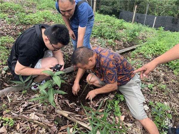 微信图片_20200814152828