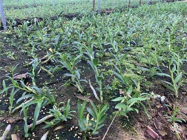 微信图片_20200814152817