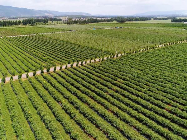 微信图片_20230707160029