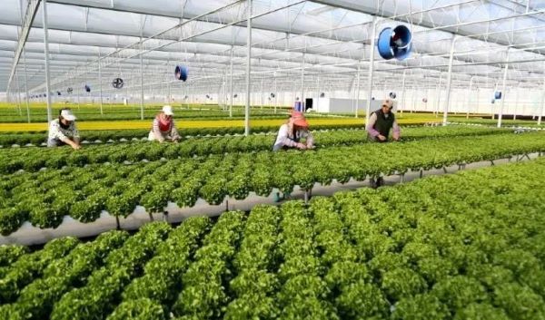 微信图片_20230707160037