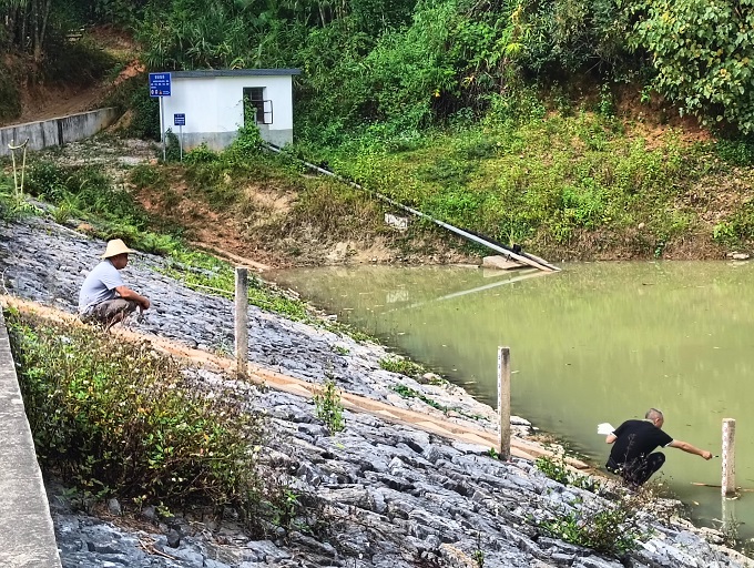 b38fad83c64fa670e709ea0c974eee6