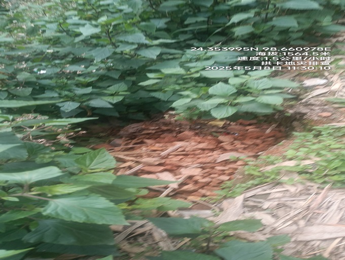 5.8上东村委会自然资源所拱卡地灾排查