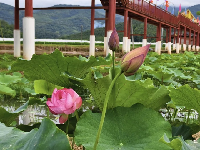 70bd6fbf339441e792e65e422f95a60