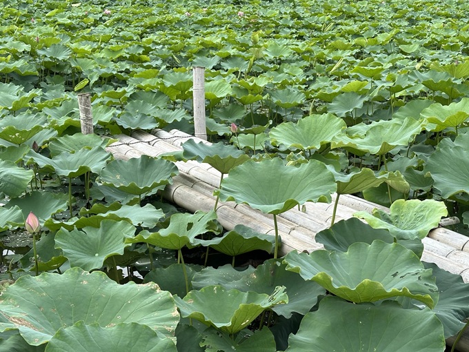 972a3641abbbc11217e644e64a77e9f