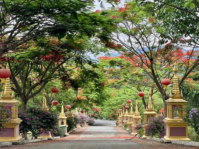 96165235fe86a3d6a7664aca21a39fc