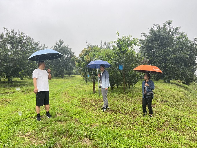 0b8e8541c0de3604de78eddba1de267