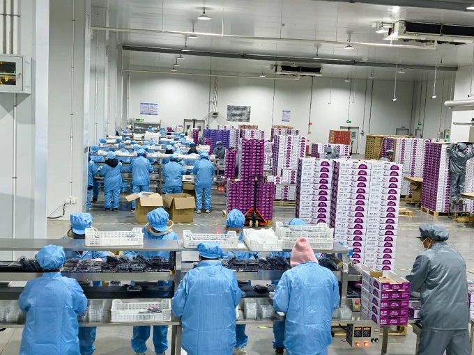 1b5e77a98ebd7215ccf112a96e3a6a2