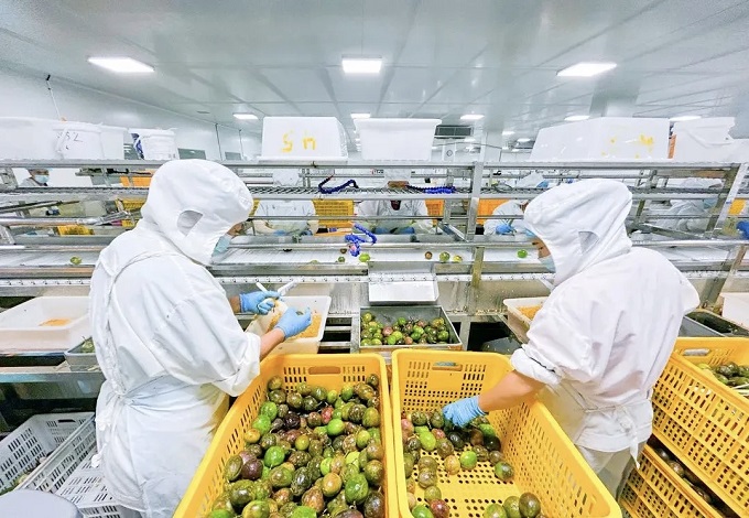 4d588f336e6b5040c64c37ed8740983