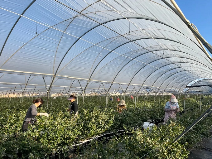 8cb8bdb33105c3210f413e18c74c75f