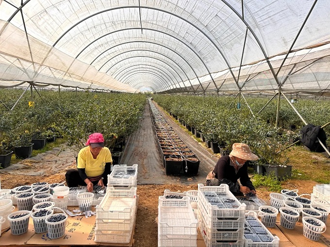 dda20fa6a966ddff06ae032e3693a94