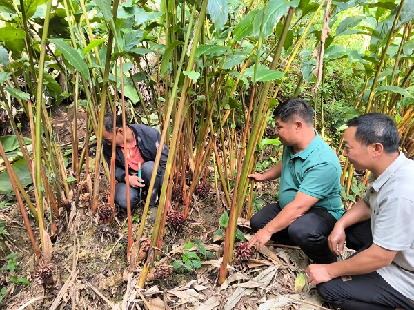 bfb14c1a993252624e18e1f9e8077e5b